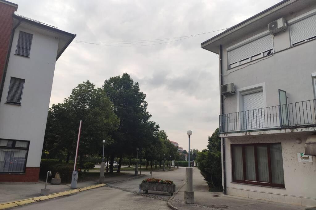 Studio Apartment "Iris" Ptuj Exterior foto